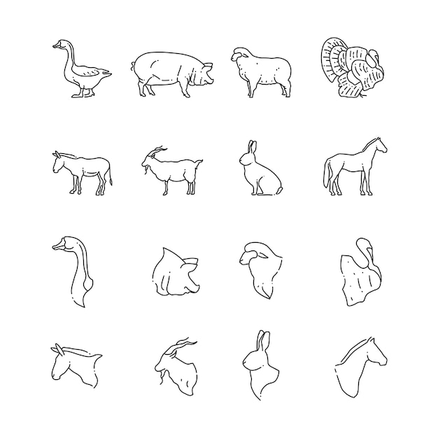 Farm birds and animal line icon 