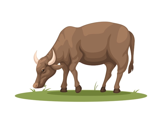 Farm Buffalo eating grass. rural animal life symbol cartoon illustration vector