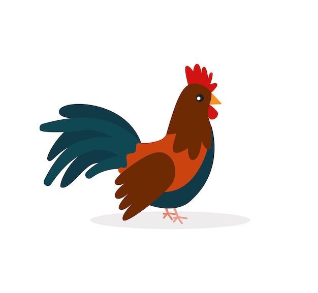 Farm cock icon Cartoon of farm cock vector icon for web design isolated on white background