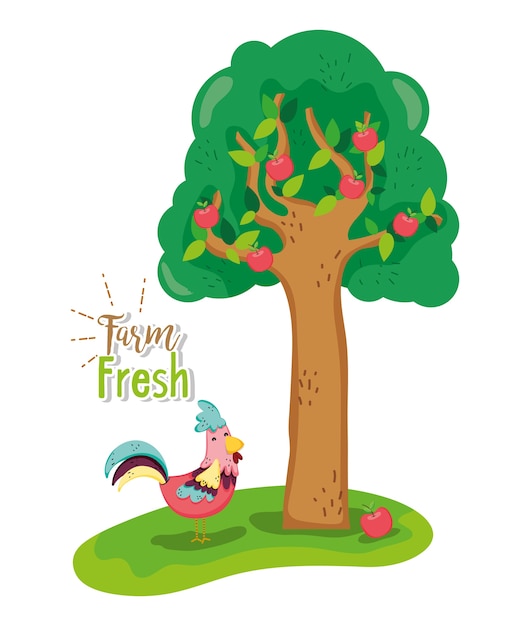 Farm fresh concept