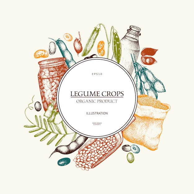 Farm fresh and organic plants template. Hand sketched cereal and legume plants wreath  in color