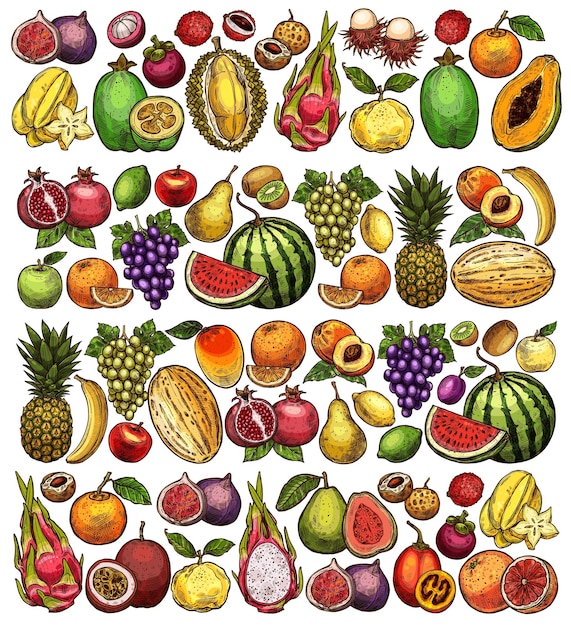 Farm and garden fruits sketch food background