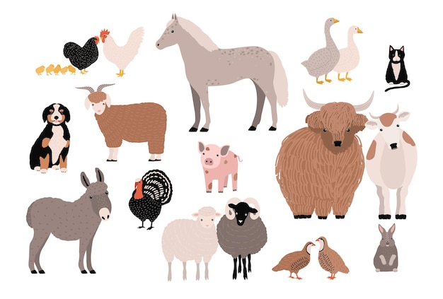 Farm pets colorful collection. Cute domestic animals set. Hand drawn vector illustration on white background.