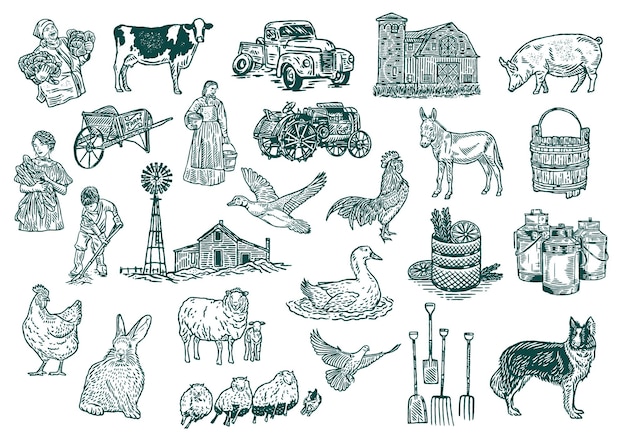 Vector farm vintage illustration pack