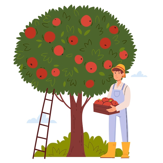 Farmer picking applesHarvest conceptHand drawn flat vector illustration isolated on white background