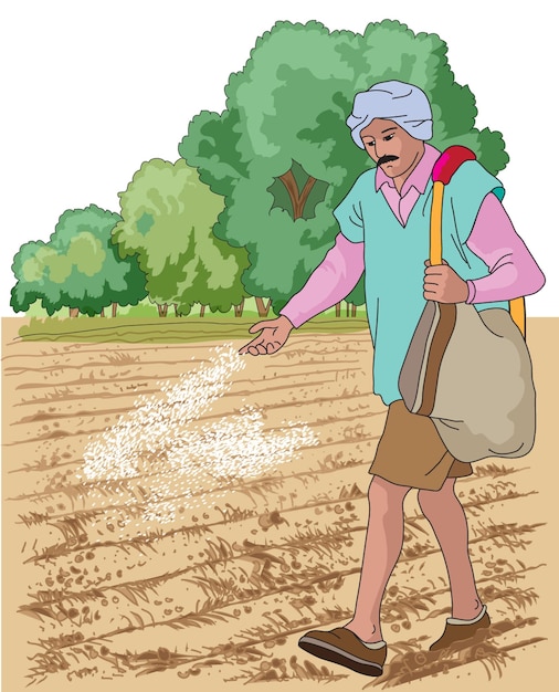 Farmer sowing seeds in the field