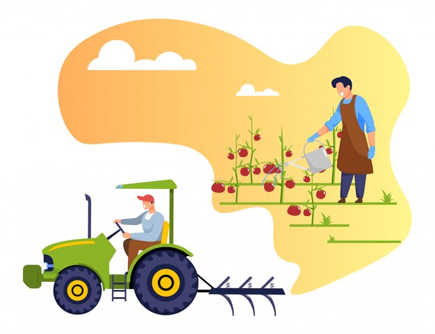 Vector farmer watering tomatoes, worker driving tractor