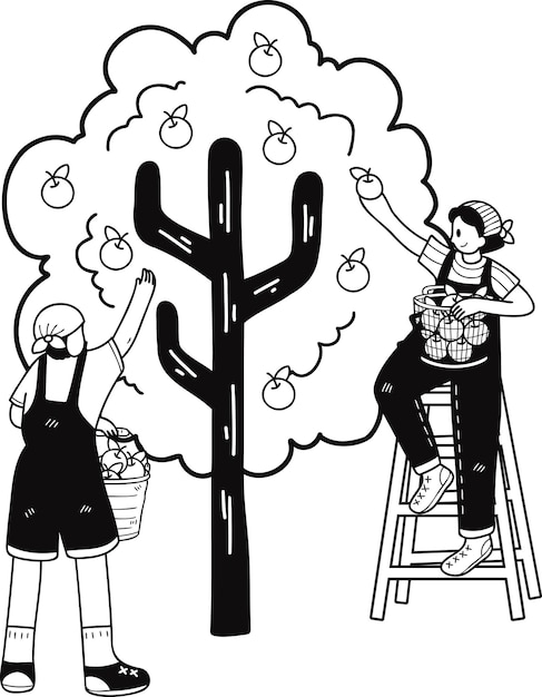 Farmers are picking fruit from trees illustration in doodle style