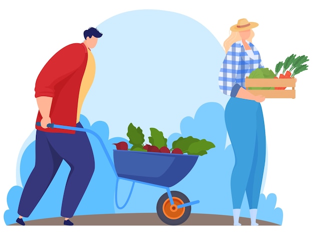 Farmers harvest vegetables.  illustration