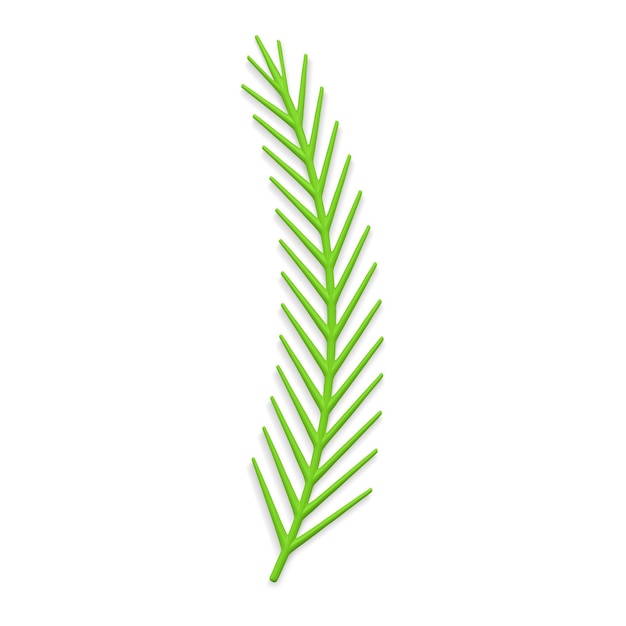 Fashion green vertical curved coniferous branch with needle decorative design spa cosmetic vector