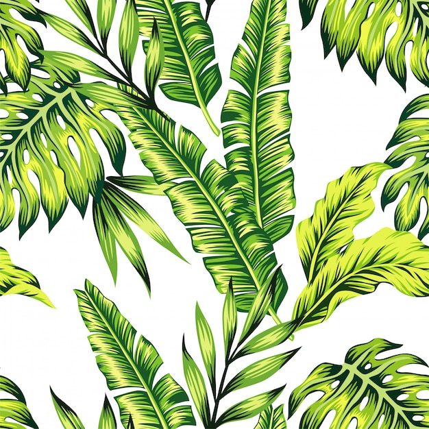 Fashion painting jungle pattern of exotic tropic plants of banana palm leaves.