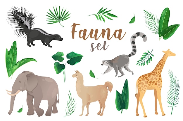 Fauna in cartoon style set isolated elements Vector illustration