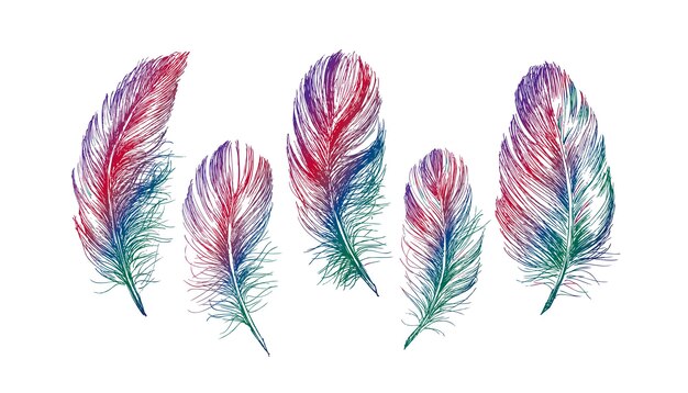 Feather Pattern hand drawn