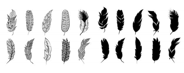 Feather  set collection  clipart 