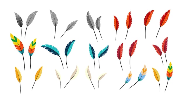 Feather set vector illustration isolated on white background