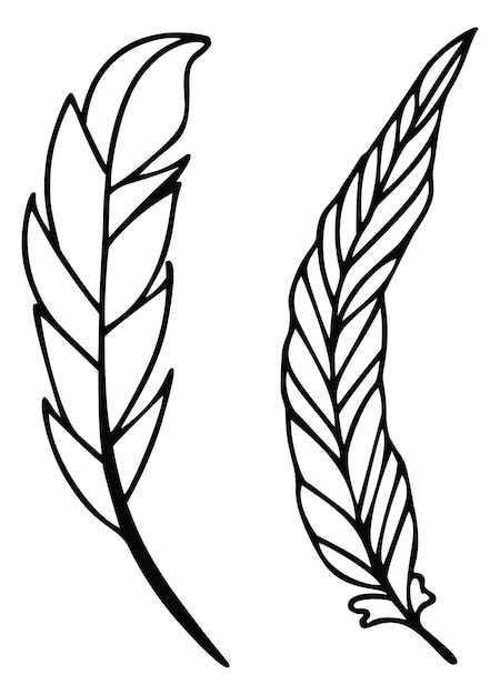 Feather Vector Clip Art, Black and White