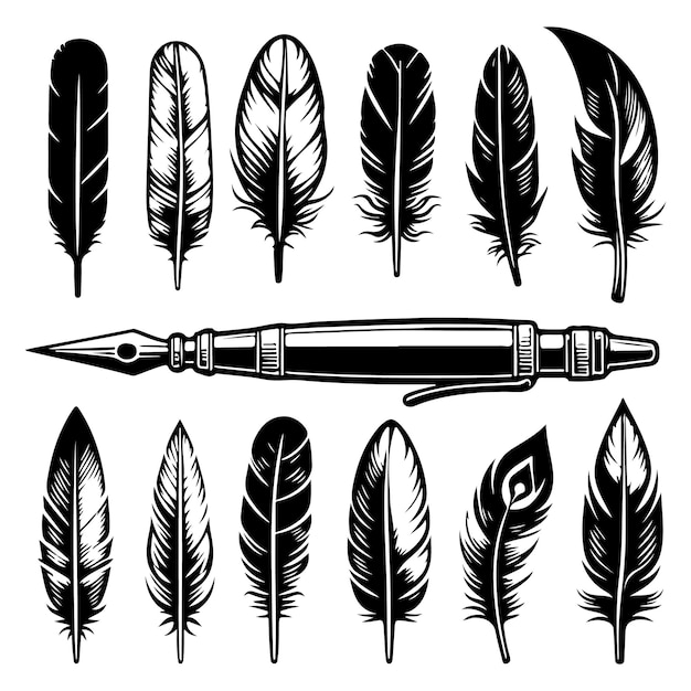 Feather vector icon Set Pen illustration sign collection Nib symbol or logo