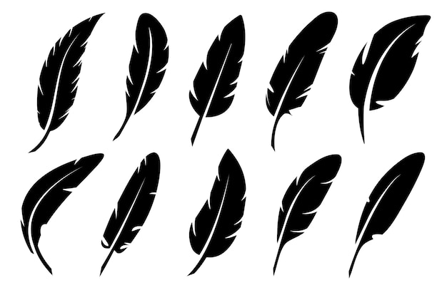 Feathers isolated on white Collection of vector feather black silhouettes