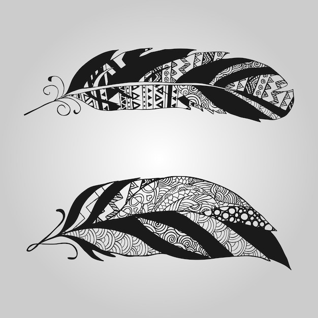 Vector feathers vector set in a flat style