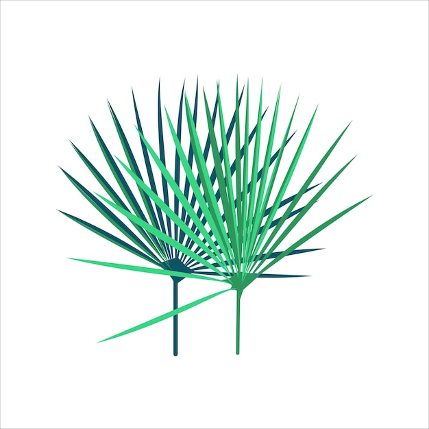 Feathery palm leaf Exotic green tropical tree branch Summer party holidays wedding cosmetics floral design flat vector illustration isolated on white background