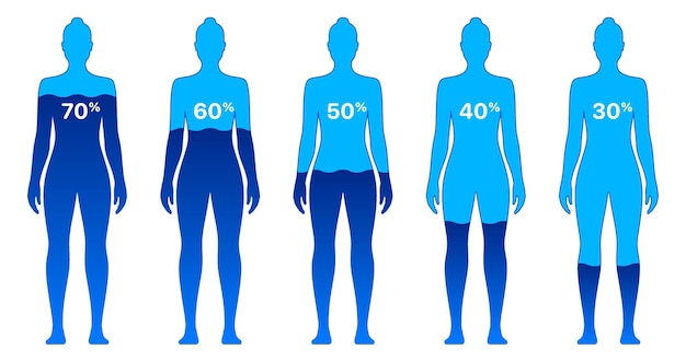 Female body with different water level percentages vector illustration isolated on background