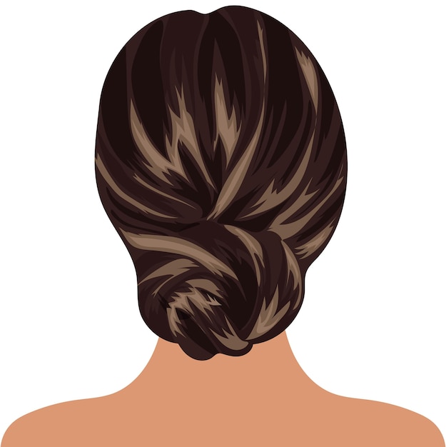 female hairstyle with bunches of long brown hair vector illustration