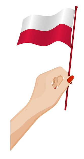 Female hand gently holds small flag of Poland Holiday design element Cartoon vector on white background