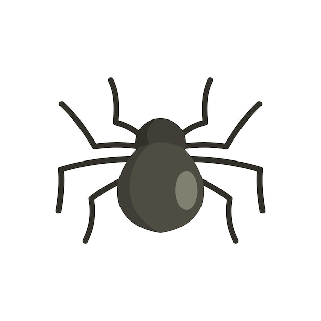 Female mouse spider icon Flat illustration of female mouse spider vector icon for web isolated on white