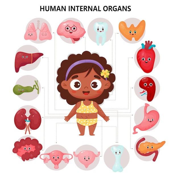 Female organs cartoon characters Anatomy human body Medical kids educational infographic