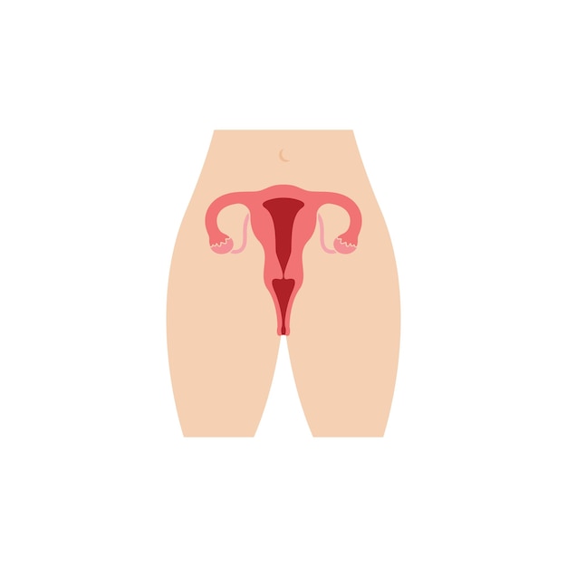 Female reproduction icon vector illustration design template