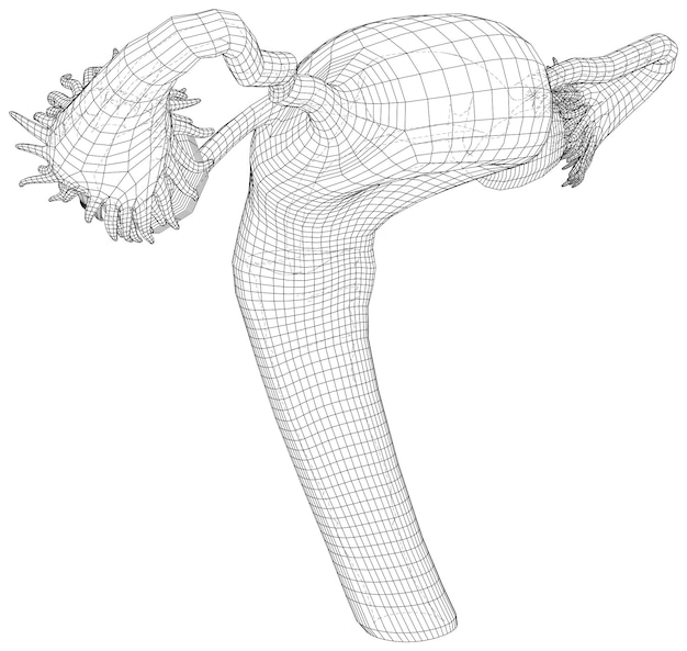 Female reproductive system on a white background EPS10 format Vector created of 3d