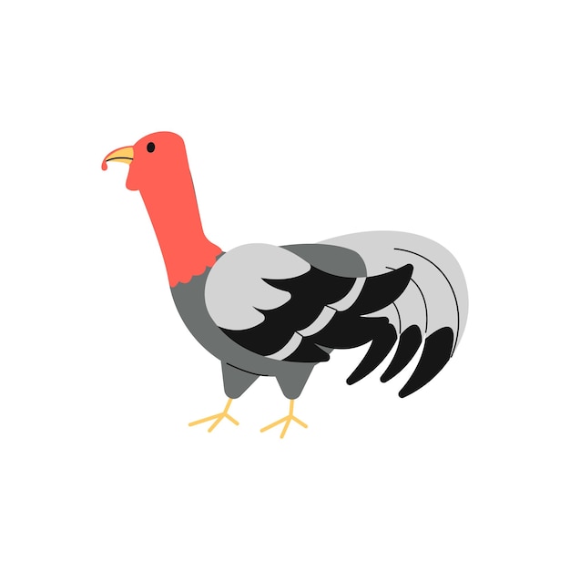 Female Turkey Illustration