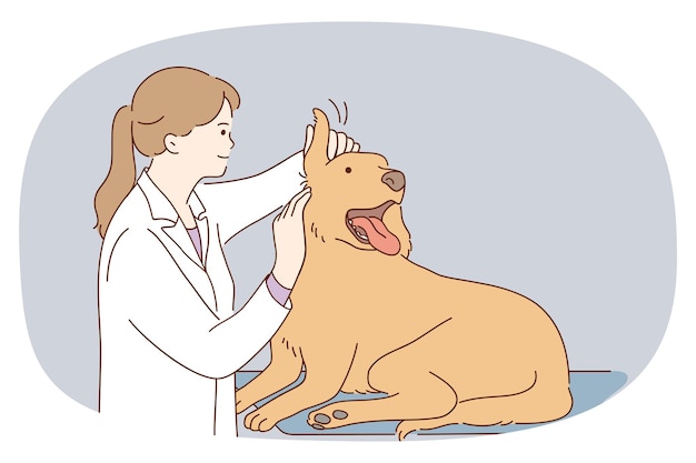 Female vet doctor examine dog in clinic or hospital Caring veterinary nurse checkup big puppy at appointment Domestic animal or pet examination Healthcare Vector illustration