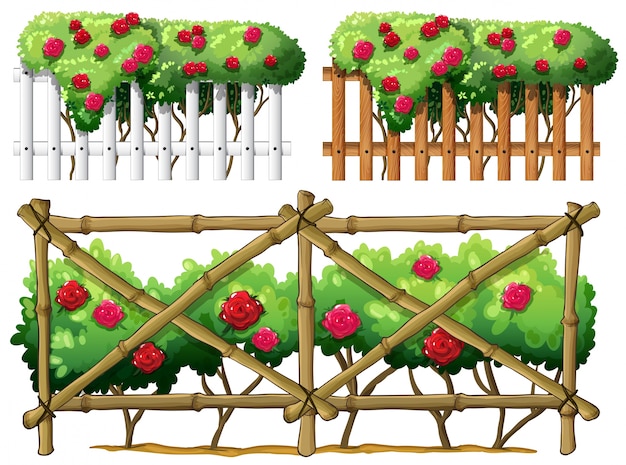 Vector fence design with roses illustration