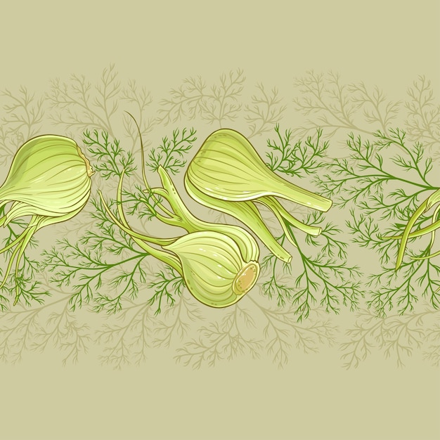 Fennel vector pattern