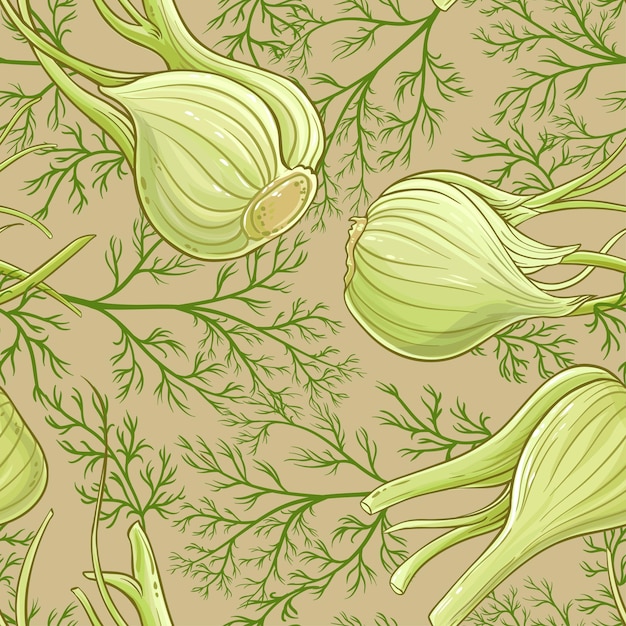 Fennel vector pattern