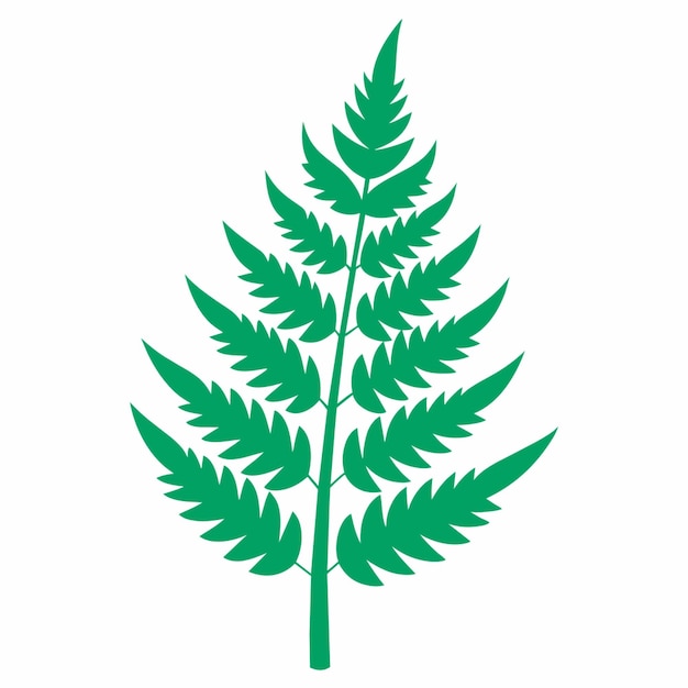 fern plant vector illustration