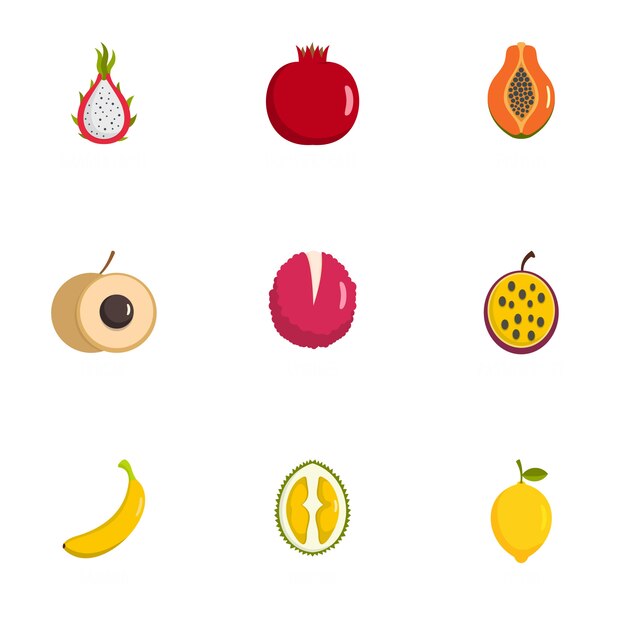 Fetus icon set, flat style