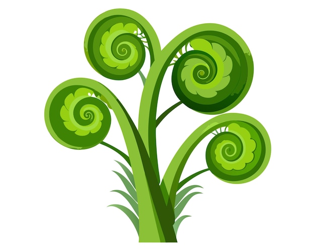 Fiddleheads vector illustration isolated on white background