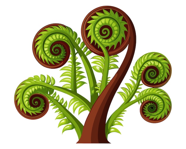 Vector fiddleheads vector illustration isolated on white background