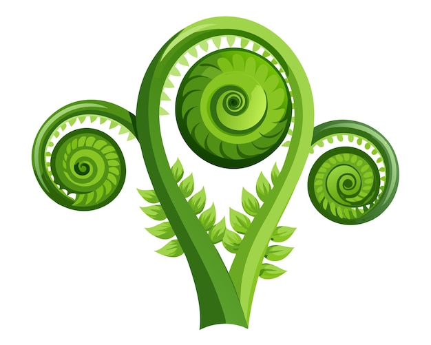 Vector fiddleheads vector illustration isolated on white background