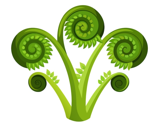 Fiddleheads vector illustration isolated on white background