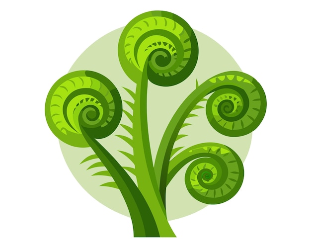 Fiddleheads vector illustration isolated on white background