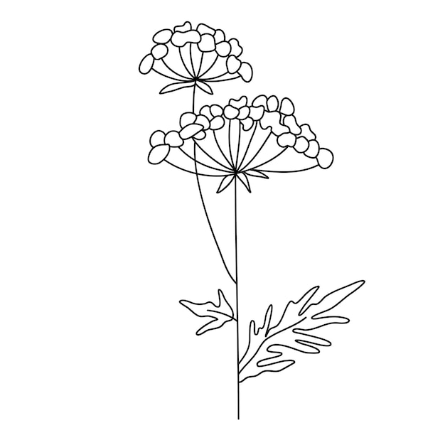 Field plant line vector, line flower vector, minimalist line design, wildplant vector