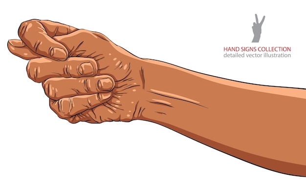 Fig fico hand sign, African ethnicity, detailed vector illustration.