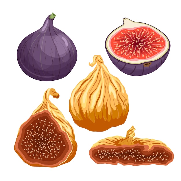 Fig fruit fresh set cartoon vector illustration