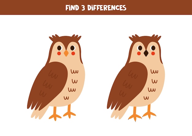 Find 3 differences between two cute cartoon owls