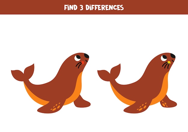 Find 3 differences between two cute sea lions