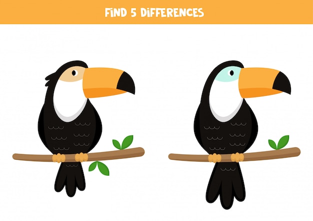 Find 5 differences. Cute cartoon toucans. Game for kids.