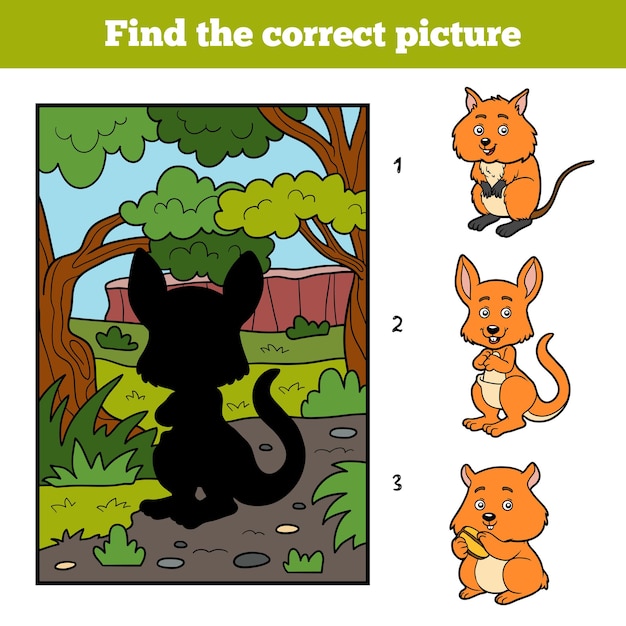 Find the correct picture, education game for children. Kangaroo and background